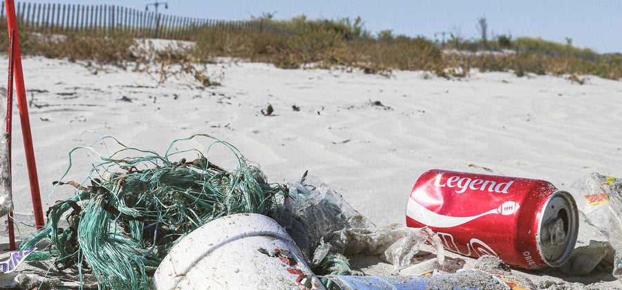 Microplastiche: effetti, problemi e scenari futuri - Intervista a Benny Mandos (CEO di GOT BAG)