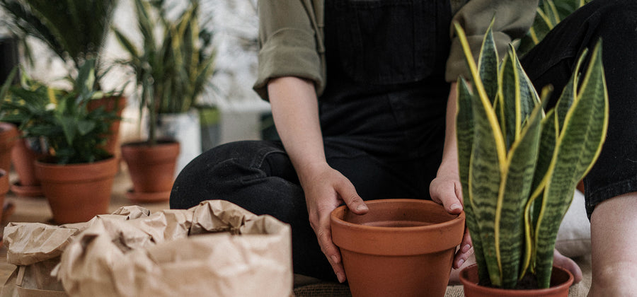 6 Tipps für mehr Nachhaltigkeit – für Eco-Fortgeschrittene