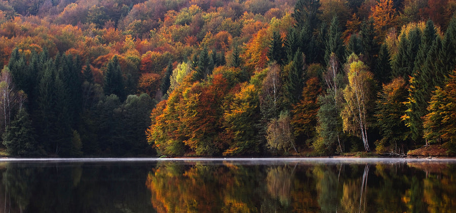 Cura della pelle in autunno: perché la pelle ha bisogno di cure stagionali