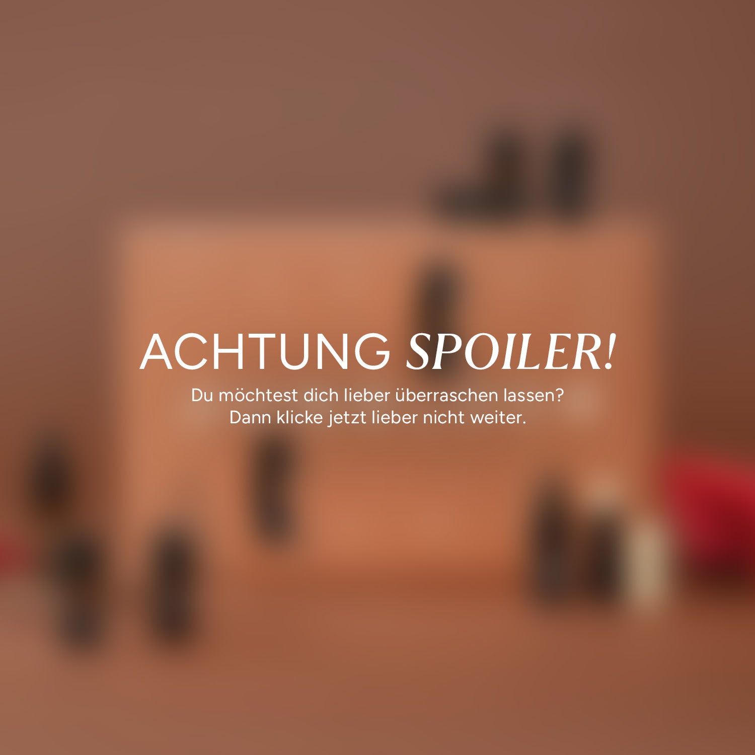  Adventskalender Spoiler Bild